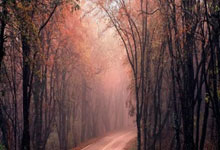 NG28：[国内]世亚预前瞻：国足失核心挑战大 卡塔尔不容有失.