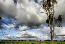 湖人官宣又签一名后卫 上赛季战湖人狂砍23+17.