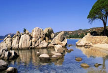 曼联前锋霍伊伦有可能要去填补奥斯梅恩的空档。.